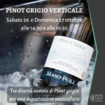 Evento degustazione Pinot grigio verticale 26 e 27 ottobre ore 14:30